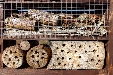 Close up of insect hotel: wooden nest box for wild insects. An insect hotel is a man made structure...