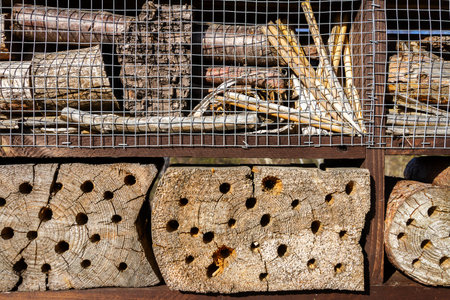 Close up of insect hotel: wooden nest box for wild insects. An insect hotel is a man made structure created to provide shelter for insects in a variety of shapes and sizes and materials.の写真素材