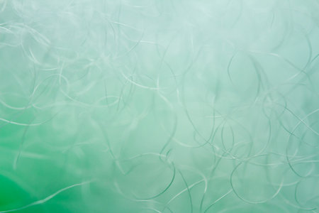 Extreme macro of polyester stable fiber on green background. Selective focus, shallow depth of field. Abstract dreamy backgroundの写真素材