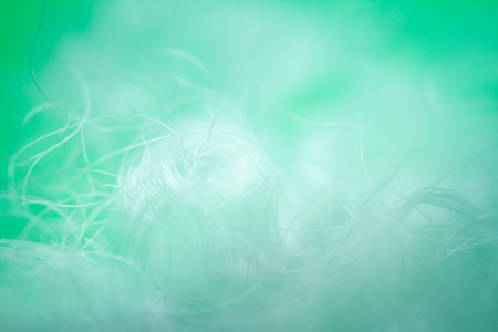Extreme macro of polyester stable fiber on green background. Selective focus, shallow depth of field. Abstract dreamy backgroundの写真素材