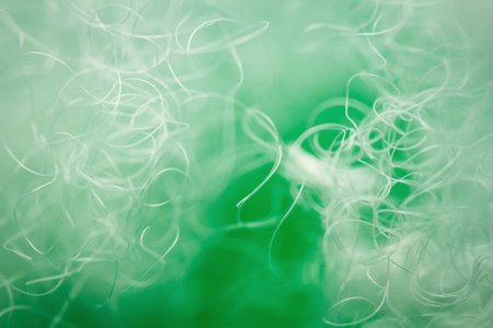 Extreme macro of polyester stable fiber on green background. Selective focus, shallow depth of field. Abstract dreamy backgroundの写真素材