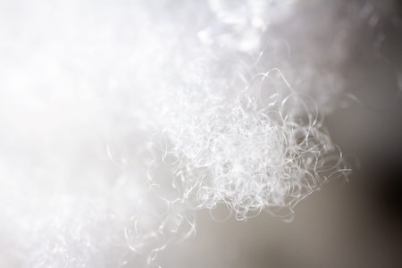 Extreme macro of polyester stable fiber. Selective focus, shallow depth of field.