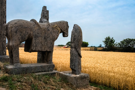 The stone statues of the Song Tomb are scattered in the farmland.のeditorial素材