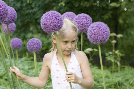 little girl with decorative onion flowersの写真素材