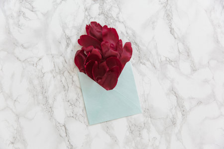 Red peony petals in a blue envelope on a white marble backgroundの写真素材