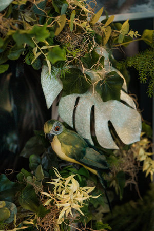 Tropical birds in a flower shop. Beautiful bird in a flower shop.