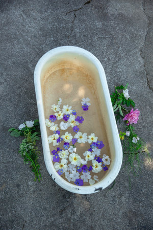 Flowers in a bath on the cement floor with copy space.