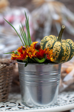 Autumn still life with decorative pumpkins and flowers, selective focusの写真素材