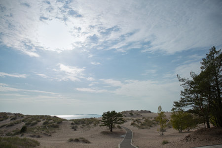 Beautiful view of sand dunes on the Gulf of Bothnia coast in Finlandの写真素材