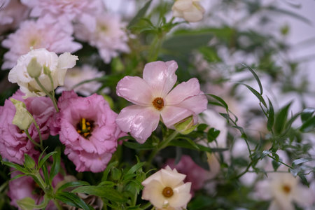 pink and white flowers in a pot on a white background.