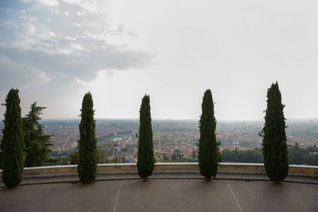 View of the city from the top of the hillの写真素材