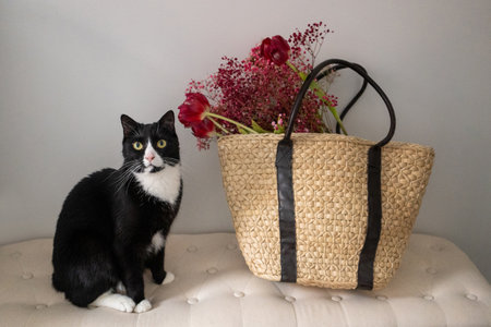 Black and white cat sitting next to a wicker basket with flowersの写真素材