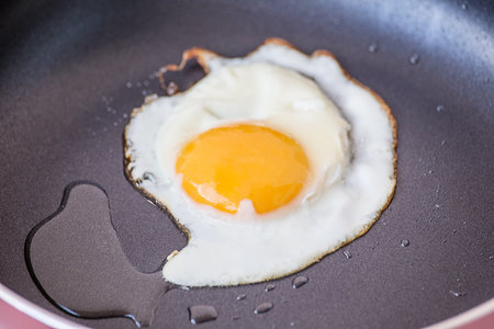 One fried egg on the frying pan with sunflower oil - close up photo