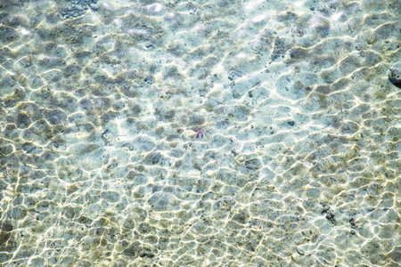 Sea bottom photo - abstract background
