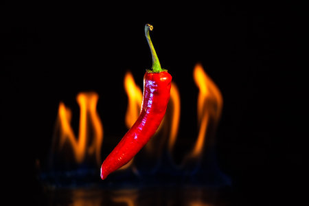 Red hot chilli pepper with the burning fire flames - really hot food. Conceptual abstract photo.の写真素材