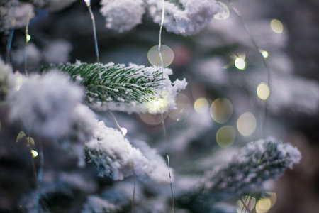Abstract unfocused backgrounds with Christmas decorations with led light bokeh - close-up photo.の写真素材