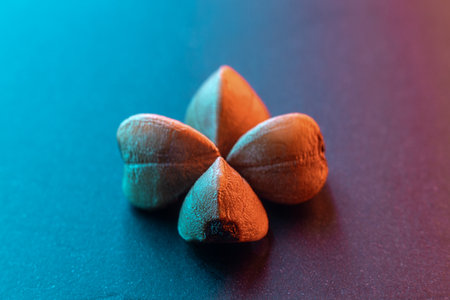 Buckwheat uncooked raw grains that creatively formed and stored to dry for the highest quality. Super macro close-up photo with art colored background light.の写真素材