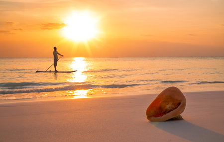 A lonely man on a surfboard with a paddle is sailing on the calm sea in a ray of sunset and a big shell is lying on the seashore. High-contrast silhouette photo.の写真素材