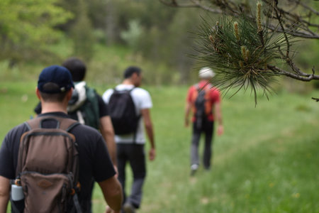 a group of hikers walking in the forest