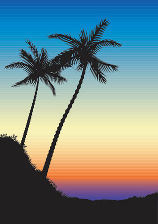 Two palms on the sunset backgroundのイラスト素材