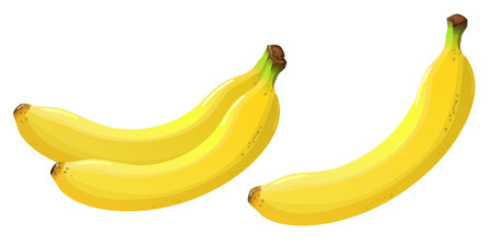Bananas isolatedのイラスト素材