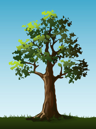 Large treeのイラスト素材