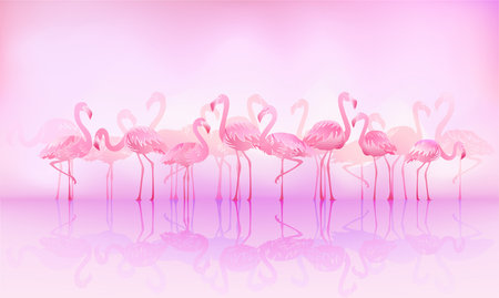 Flock of caribbean flamingos over a lakeのイラスト素材