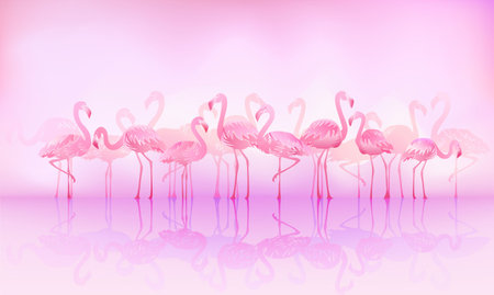 Flock of caribbean flamingos over the lakeの写真素材
