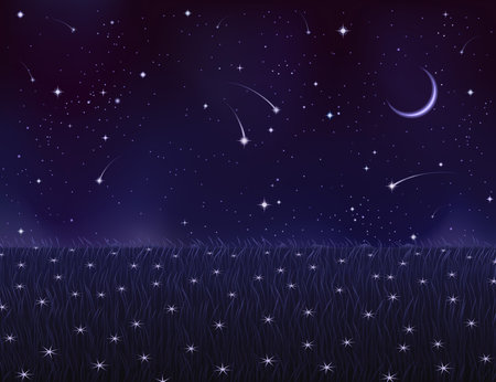 Night summer meadow covered with white star flowers (other landscapes are in my gallery)のイラスト素材