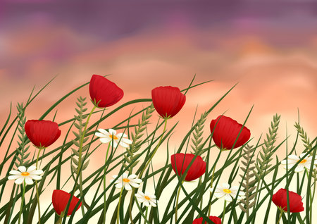 Evening summer meadow のイラスト素材