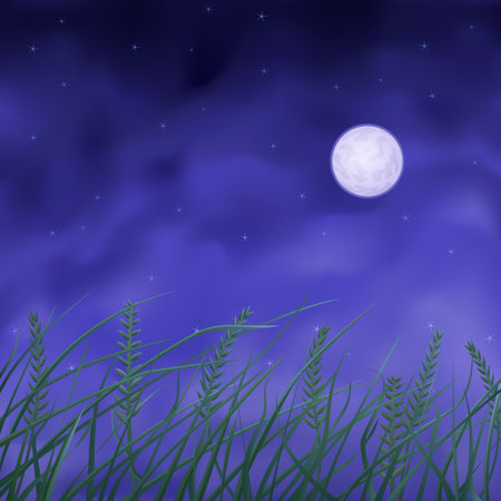 Wheat field under full moon at nightのイラスト素材