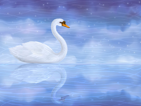 White mute swan reflecting in clear blue waterのイラスト素材