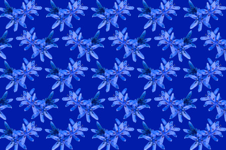 First spring flowers blue snowdrops pattern backgroundの写真素材