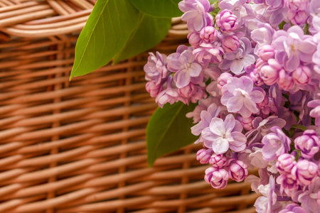 Lilac flowers in the basket. Greeting card backgroundの写真素材