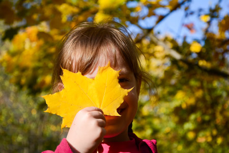 Cheerful girl playing with a maple leaf in fall parkの写真素材