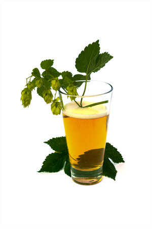 Glass of beer with hops isolated on white backgroundの写真素材