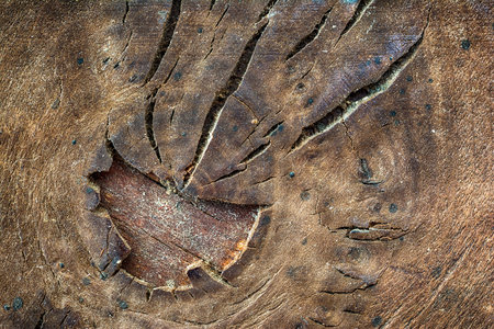 Dark brown wooden background. Old vintage surface