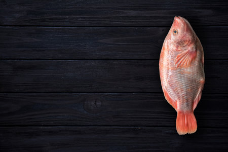 Red tilapia fish on dark blue wooden background. Top viewの写真素材
