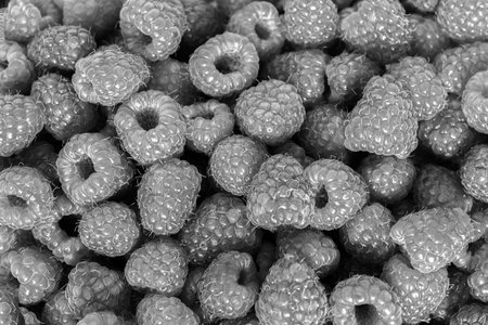Fresh ripe raspberries background closeup. Food texture. Black and whiteの写真素材