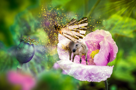White unicorn with butterfly wings on blooming pink poppy flowerの写真素材
