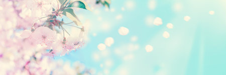 Beautiful blossoming cherry tree on light blue sky background in sunlight, shallow depth. Soft...