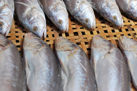 Mackerel shops in the fresh food market.の写真素材