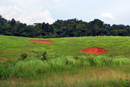 Clay pit in the middle of the forest, Khao Yai National Parkの写真素材