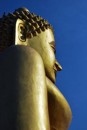 Forest filled with fog obscured the mountains.の写真素材