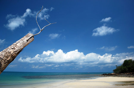 Sea with blue sky and white clouds. There is a foreground stick.の写真素材