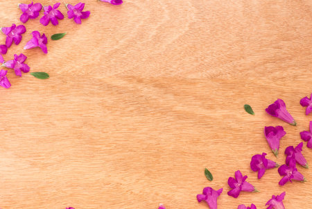 Beautiful Purple flowers  on the wooden background,Spring break,Spring fashion background,Spring flowers background,Spring wallpaper ,Spring weddingの写真素材