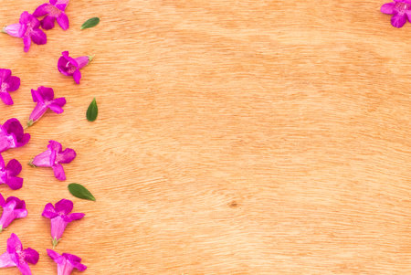 Beautiful purple flowers  on the wooden background,Spring break,Spring fashion background,Spring flowers background,Spring wallpaper ,Spring weddingの写真素材