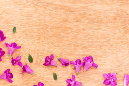 Beautiful purple flowers  on the wooden background,Spring break,Spring fashion background,Spring flowers background,Spring wallpaper ,Spring weddingの写真素材