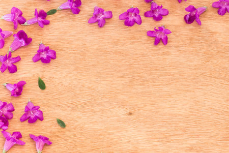 Beautiful purple flowers  on the wooden background,Spring break,Spring fashion background,Spring flowers background,Spring wallpaper ,Spring weddingの写真素材