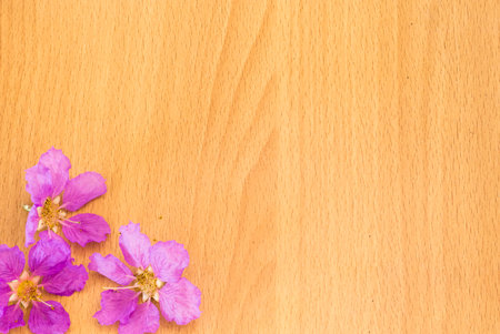 Beautiful purple flowers blooming on the wooden background,Spring break,Spring fashion background,Spring flowers background,Spring wallpaper ,Spring weddingの写真素材